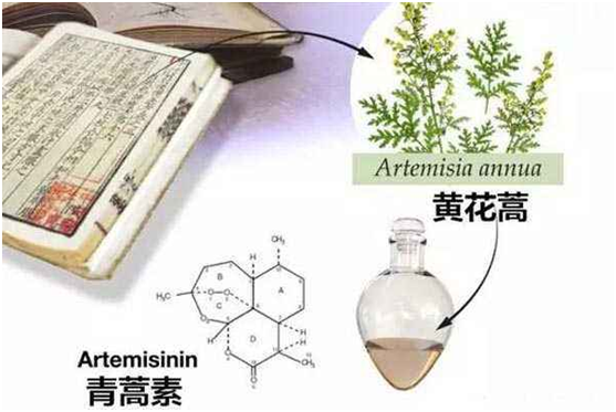 安博·体育：向中医药看齐，与世界共享中医药文化(图1)